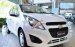 Bán Chevrolet Spark 1.2LS MT đời 2017, màu trắng, nhập khẩu nguyên chiếc, 269tr