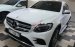 Bán Mercedes GLC 300 2.0AT 4matic sản xuất 2016, màu trắng