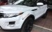 Cần bán xe LandRover Range Rover Evoque Pure Premium năm 2013, màu trắng, nhập khẩu nguyên chiếc số tự động