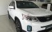 (Kia Long Biên) - Kia Sorento (2017), xe mới- giao xe ngay- LH Nam 0986636683- trả góp 80%