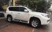 Bán Lexus GX 460 đời 2010, màu trắng, xe nhập