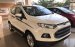 Cần bán Ford EcoSport năm 2017, màu trắng, nhập khẩu chính hãng, giá chỉ 580 triệu