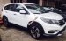 Khuyến mãi lộc xuân tặng ngay lượng vàng khi mua Honda CRV tại ô tô Kim Liên Quảng Bình