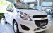 Bán ô tô Chevrolet Spark LS đời 2017, màu trắng, nhập khẩu nguyên chiếc, 269tr