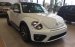 Bán xe Volkswagen Beetle Dune 2017, đối thủ Mini Cooper, màu trắng, giao ngay tháng 12. Lh: 097.8877.754