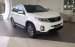 Bán ô tô Kia Sorento sản xuất 2017, màu trắng, nhập khẩu  