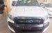 Bán Ford Ranger đời 2017, màu trắng, xe nhập