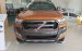 Bán xe Ford Ranger 3.2L Wildtrak 4x4 AT đời 2017, nhập khẩu chính hãng, giá chỉ 880 triệu