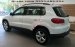 Tiguan Volkswagen - Phiên bản tiêu chuẩn nhập khẩu từ Đức LH Long 0933689294