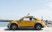 Volkswagen Beetle Dune phiên bản thể thao - LH Hotline 0933689294