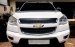 Bán Chevrolet Colorado năm 2013, màu trắng, nhập khẩu