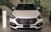 Bán Hyundai Santa Fe đời 2017, màu đen, nhập khẩu  