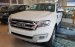 Cần bán Ford Everest 2.2L Trend đời 2017, nhập khẩu chính hãng