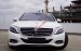 Cần bán xe Mercedes S500L đời 2017, màu trắng  