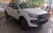 Bán Ford Ranger đời 2017, màu trắng, xe nhập