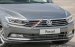 Passat Bluemotion đời mới, nhập khẩu chính hãng LH Long 0933689294