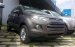 Cần bán Ford EcoSport đời 2017, nhập khẩu nguyên chiếc