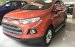 [Ưu đãi mùa Tết] Xe Ford Ecosport Titanium 2017 (giá chưa giảm), tặng PK 30 triệu, vay 80%, LS 0.68%/tháng cố định 3 năm