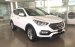 Bán Hyundai Santa Fe sản xuất 2017, màu đen, nhập khẩu  