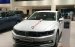 Volkswagen Passat Bluemotion - Đại lý VW Saigon 0933689294 Long