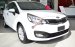 Xe Kia Rio năm 2017, nhập khẩu 100% chính hãng