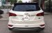 Bán ô tô Hyundai Santa Fe 2.2L CRDI đời 2017, màu trắng