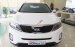 Kia Sorento GATH giá hót nhất, giao xe nhanh nhất