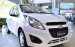 Bán Chevrolet Spark đời 2017, màu trắng, xe nhập, mới 100% giá cạnh tranh