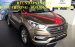 Bán xe Hyundai Santa Fe sản xuất 2017, màu nâu, nhập khẩu nguyên chiếc