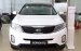 Bán Kia Sorento đời 2017, màu trắng, nhập khẩu nguyên chiếc