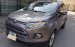 Bán Ford EcoSport Titanium 1.5AT đời 2014, màu nâu, giá 500tr