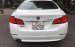 Bán ô tô BMW 5 Series 523i đời 2011, màu trắng, xe nhập