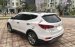 Bán ô tô Hyundai Santa Fe đời 2016, màu trắng số tự động