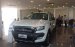 Ford Ranger Wildtrak 3.2L nhập khẩu, giá tốt, giao ngay