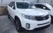 Bán Kia Sorento đời 2017, màu trắng, nhập khẩu nguyên chiếc, 789tr