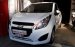 Bán Chevrolet Spark LS đời 2015, màu trắng chính chủ, 255tr