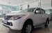 Mitsubishi Triton 2018 nhập khẩu nguyên chiếc,góp 85% xe LH: Bùi Thông 0935262950