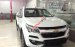 Bán Chevrolet Colorado High Country đời 2017, màu trắng