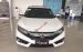 Honda Civic 1.5Turbo nhập khẩu Thái Lan, giá tốt - LH: 0939 494 269 (Hải Cơ) - Honda Ô Tô Cần Thơ