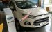 Bán Ford EcoSport Titanium đời 2017, màu trắng