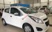 Chevrolet Spark Van 2 chỗ - Dáng xe giống 5 chỗ - chở được 300kg hàng hóa. LH: 0944.480.460 để mua xe giá tốt