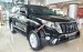 Toyota Land Cruiser Prado đen lịch lãm - Giá tốt nhất quý 1/2017 - Liên hệ đặt xe/ hotline: 0973.306.136