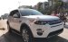 Bán Land Rover Discovery Sport HSE 2017 màu trắng, màu cam, đỏ, xanh, đen giá tốt 0918842662