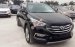 Cần bán Hyundai Santa Fe 2.2L 4WD đời 2017, màu đen