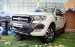 Cần bán Ford Ranger Wiltrak 3.2L đời 2018, màu trắng, nhập khẩu nguyên chiếc, 925tr