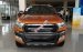 Bán xe Ford Ranger Wildtrak 3.2 AT 4x4 đời 2017 hỗ trợ trả góp tại Cao Bằng, tư vấn phụ kiện giá tốt nhất