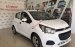 Bán xe Chevrolet Spark Duo Van 1.2 MT 2018, màu trắng