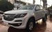 Bán Chevrolet Colorado 2.5L 4x2, hỗ trợ vay 100% giá trị xe