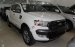 Bán ô tô Ford Ranger Wildtrak 3.2L 4x4 AT đời 2017, màu trắng, nhập khẩu, 925 triệu