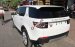 Bán Land Rover Discovery Sport HSE 2017 màu trắng, màu cam, đỏ, xanh, đen giá tốt 0918842662